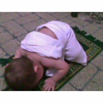 صورة الملف الشخصي لـ arif alsaadi