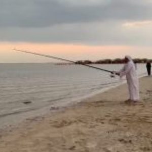 صورة الملف الشخصي لـ Falah J