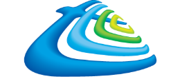 RENAISSANCE SERVICES 