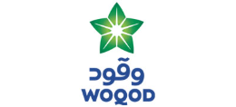 قطر للوقود